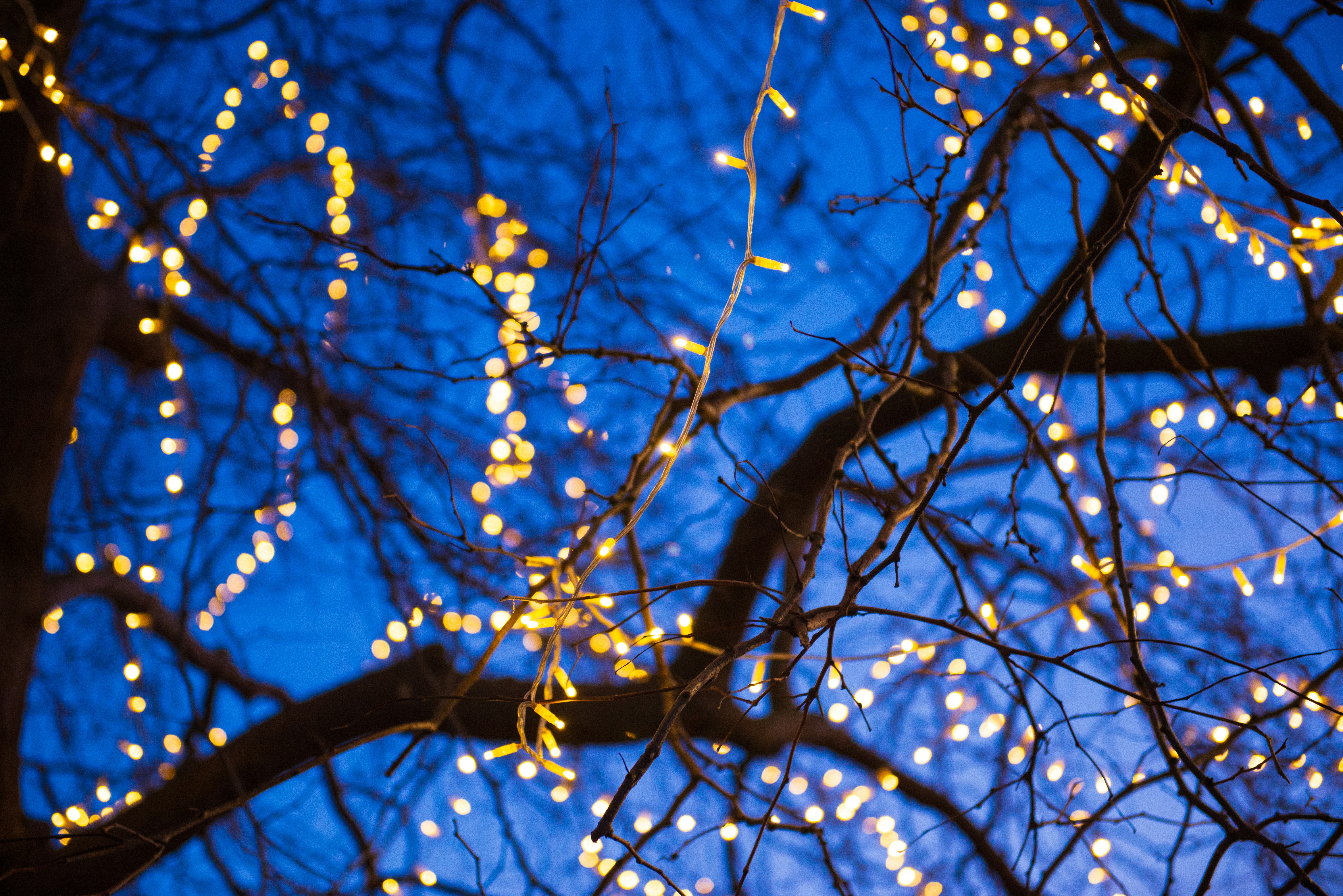 Photo by dreamcapturephotography