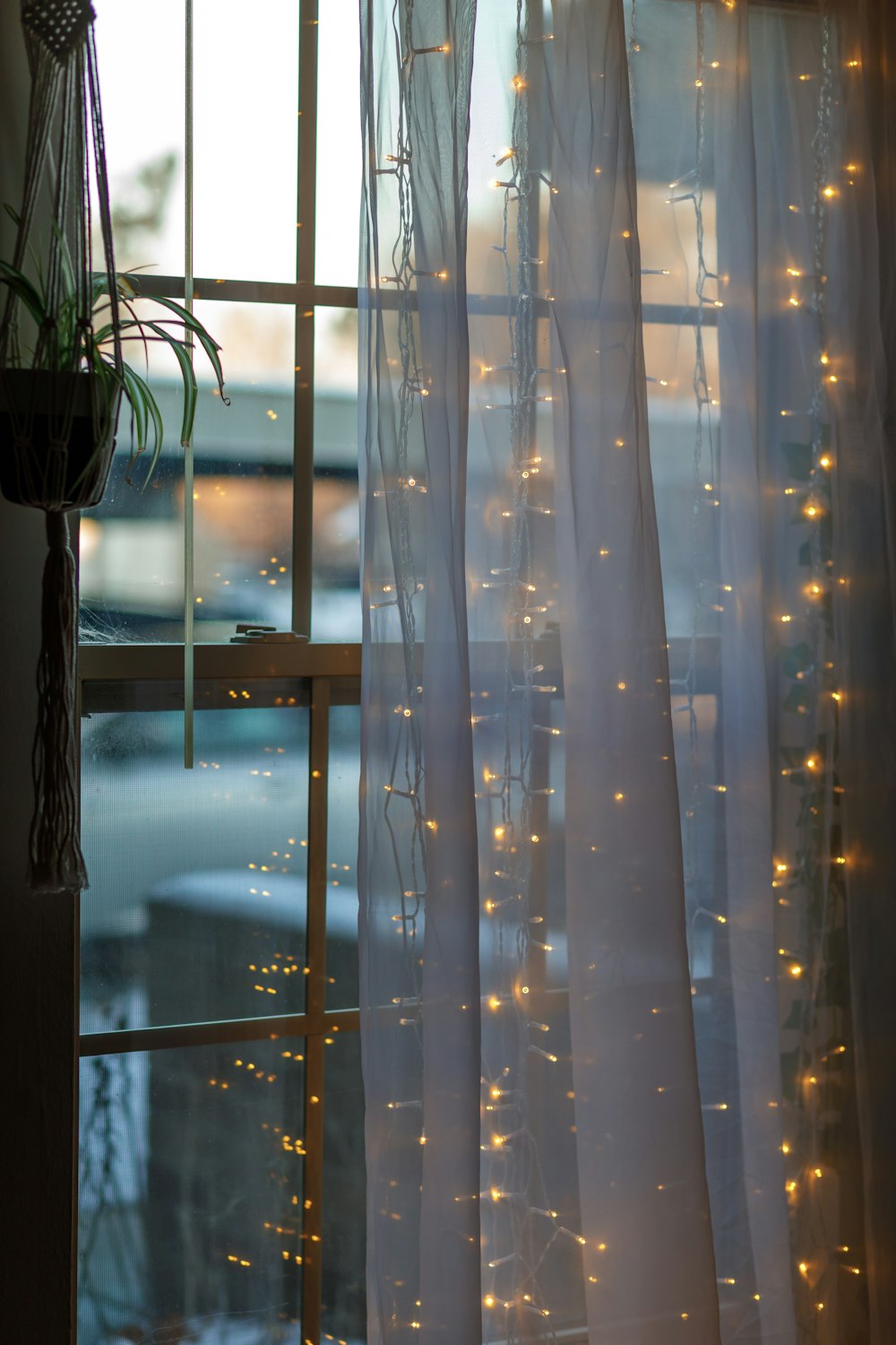 white and blue window curtain