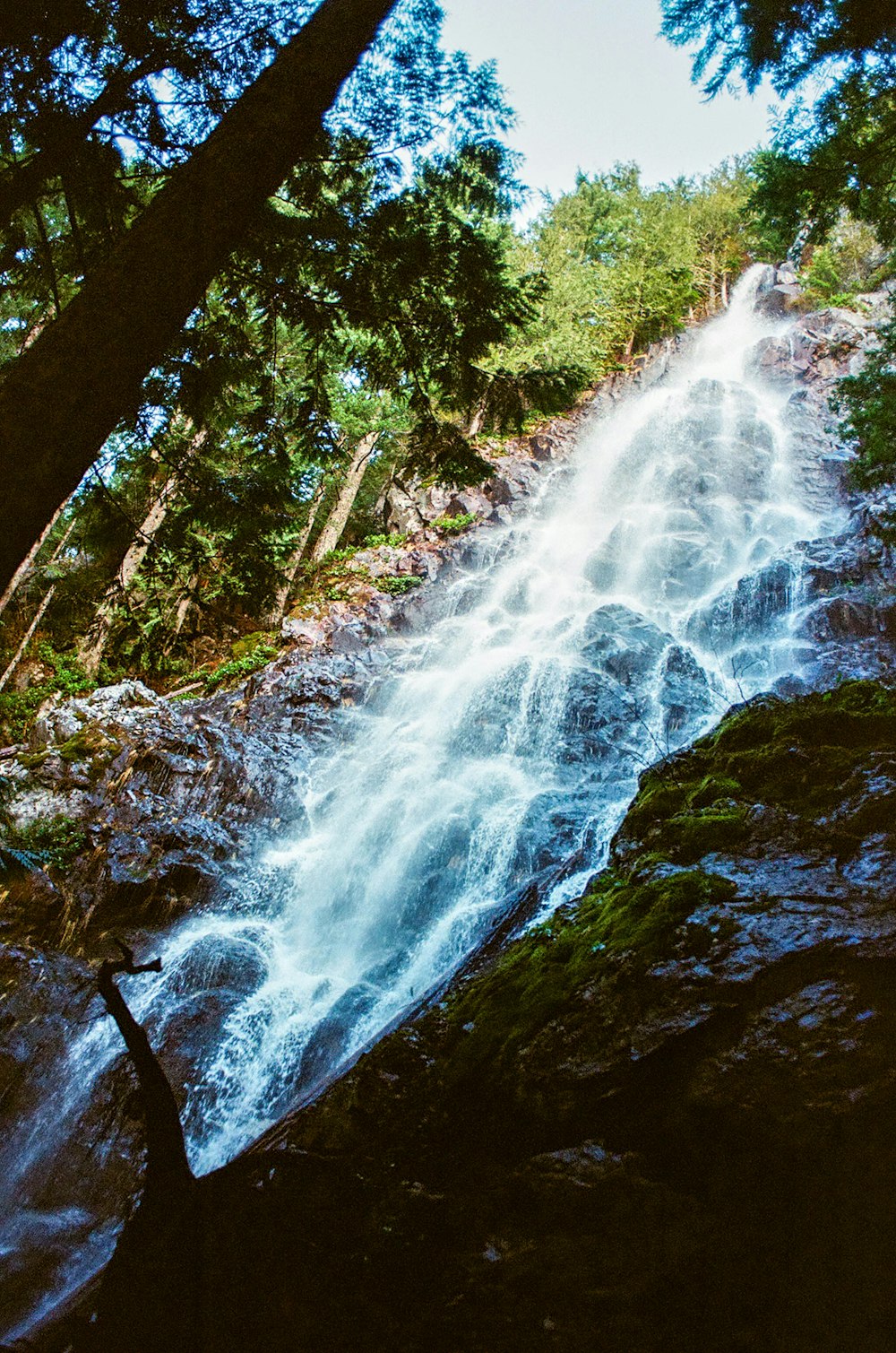 water falls in the middle of the forest