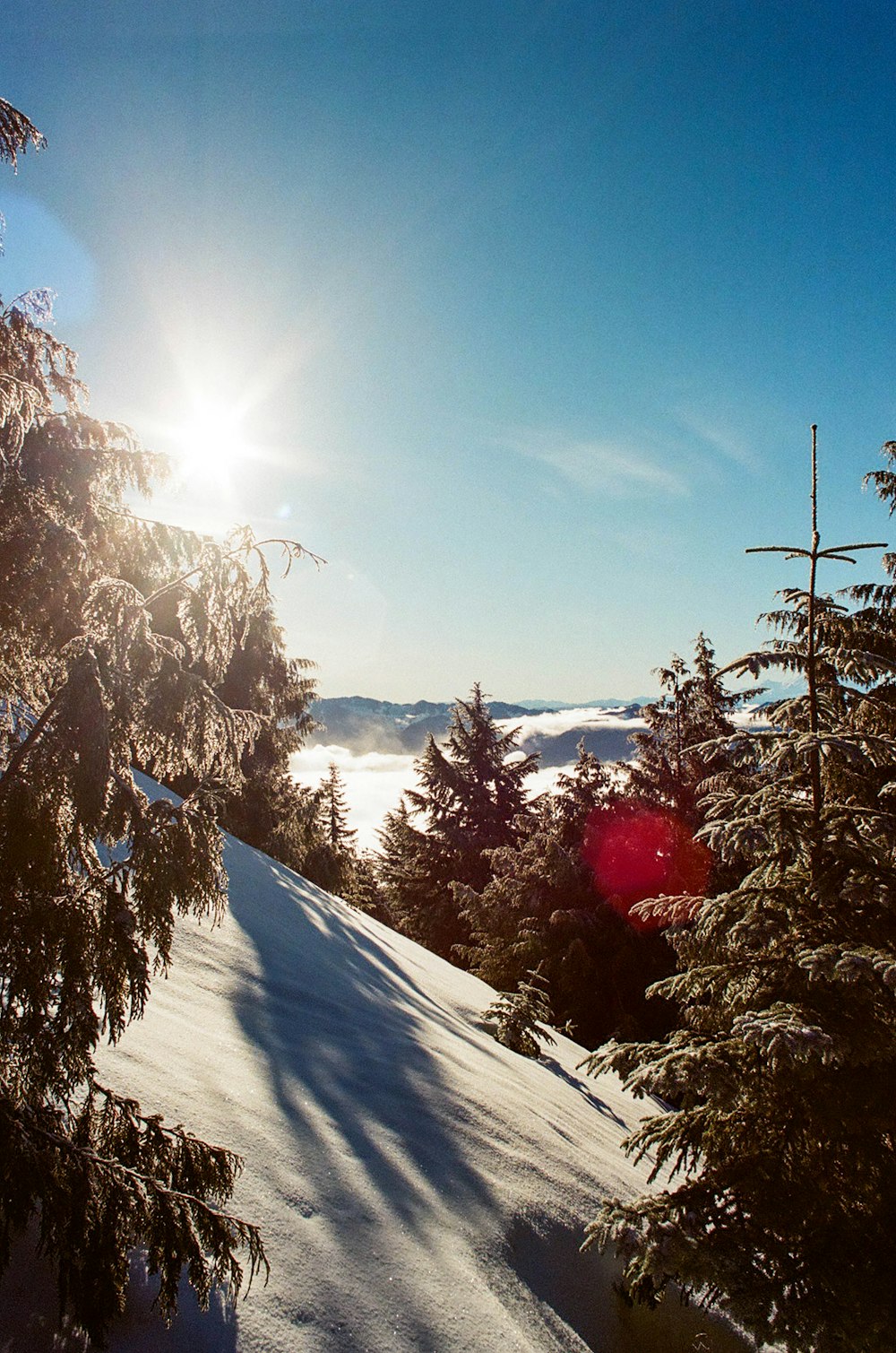 snow covered mountain with green trees under blue sky during daytime