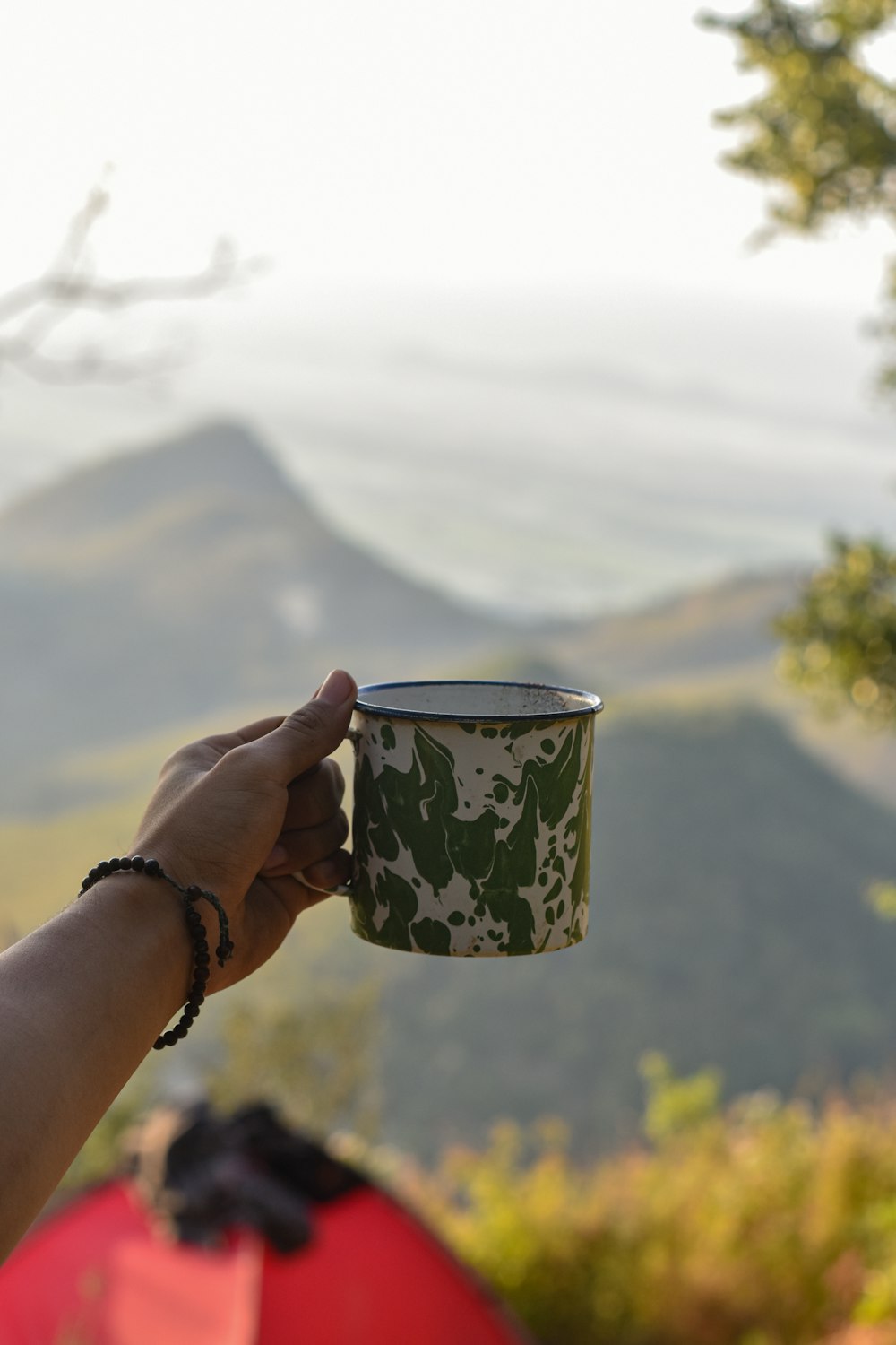 person holding white and blue floral ceramic mug