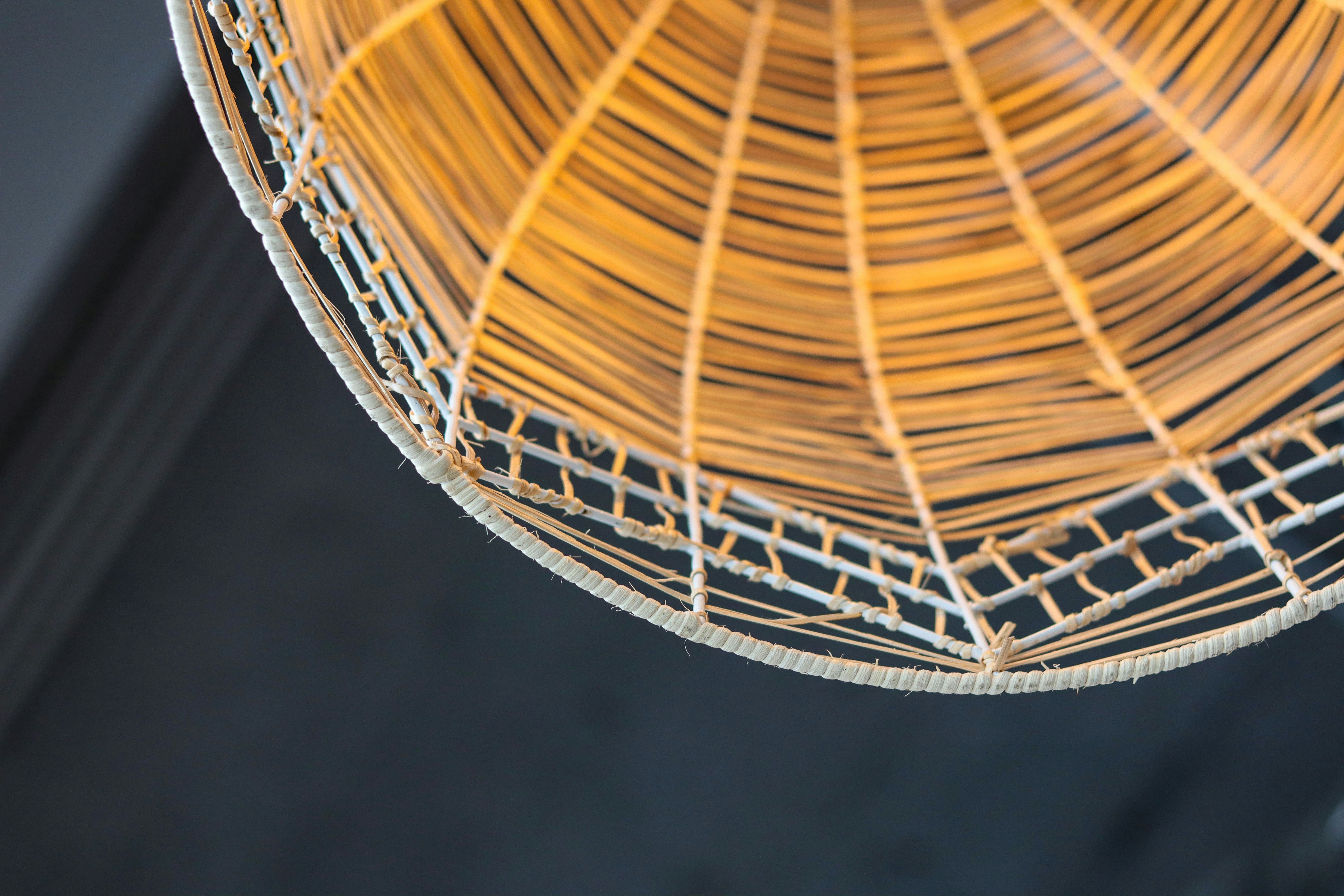 Photo by hoangthuthuy