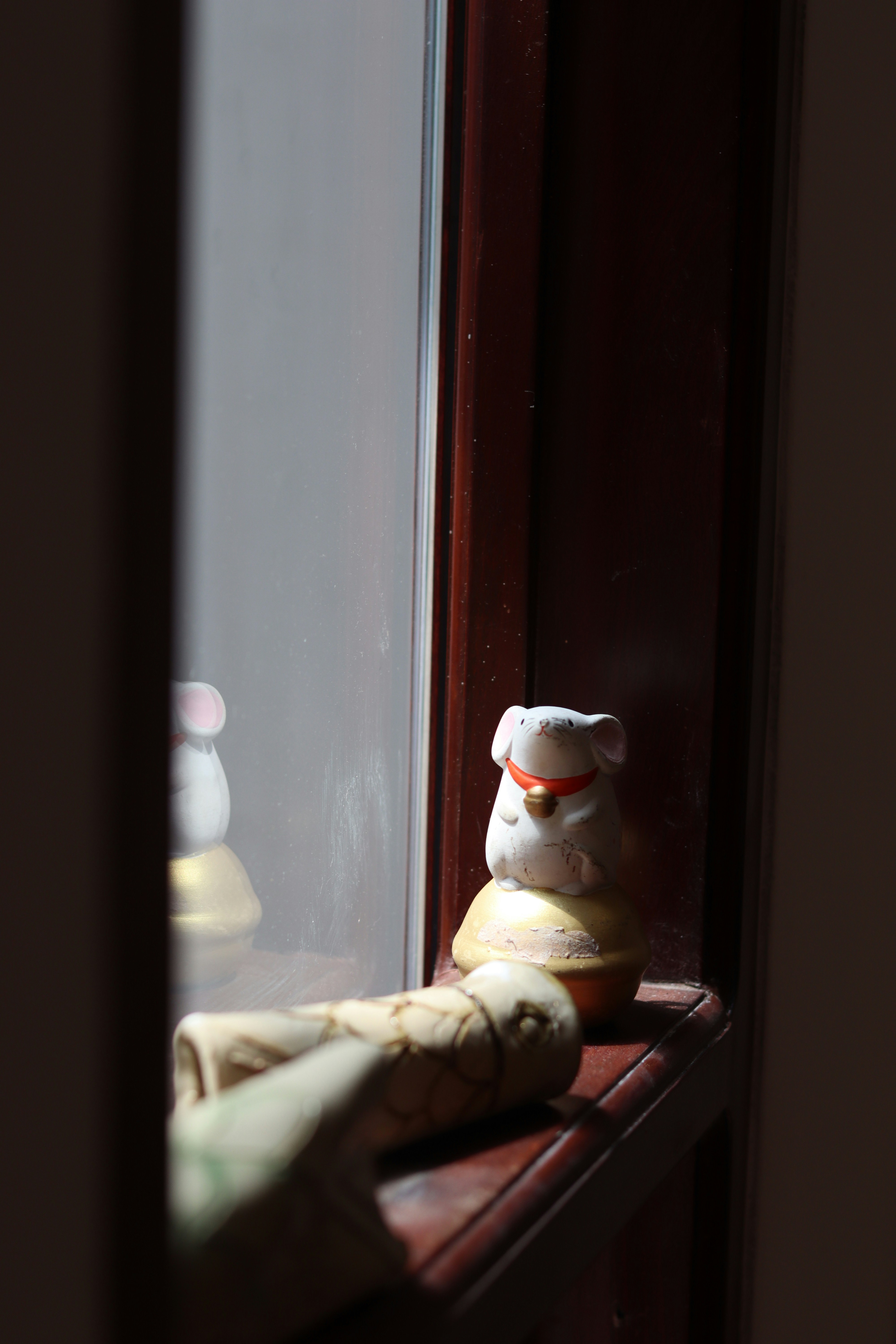 Photo by hoangthuthuy