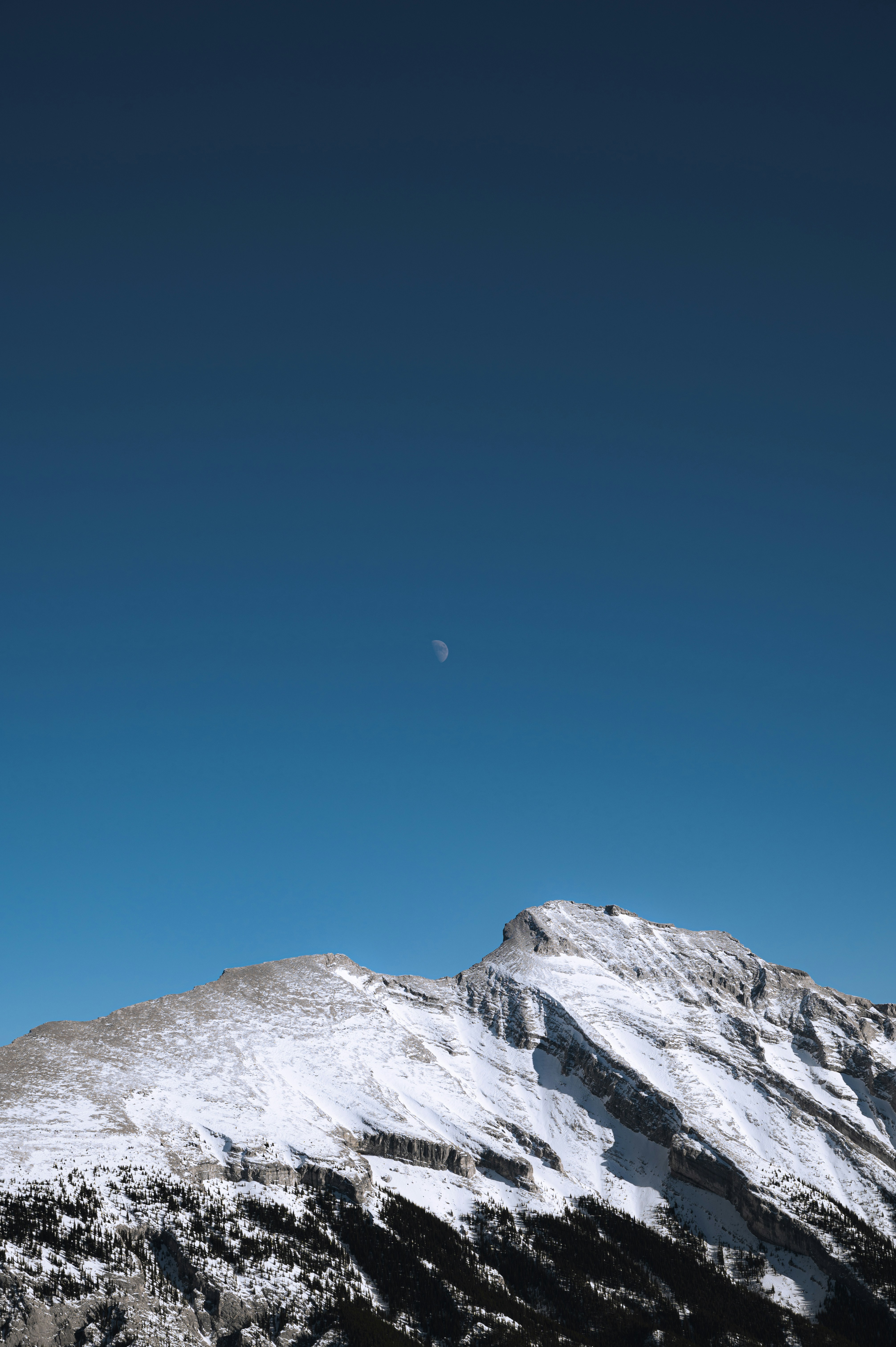 Photo by ryunosuke_kikuno