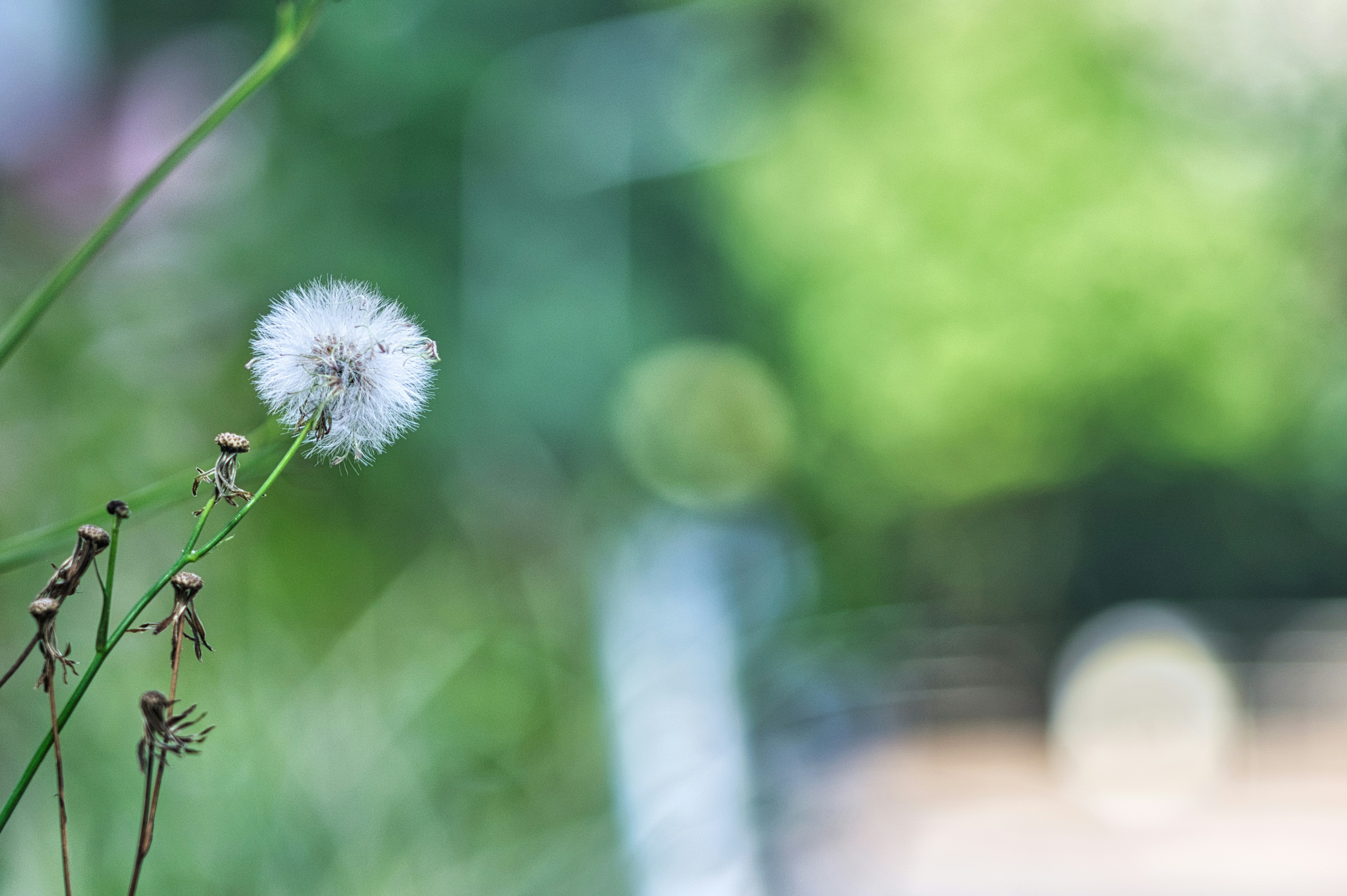 Photo by thomaskinto