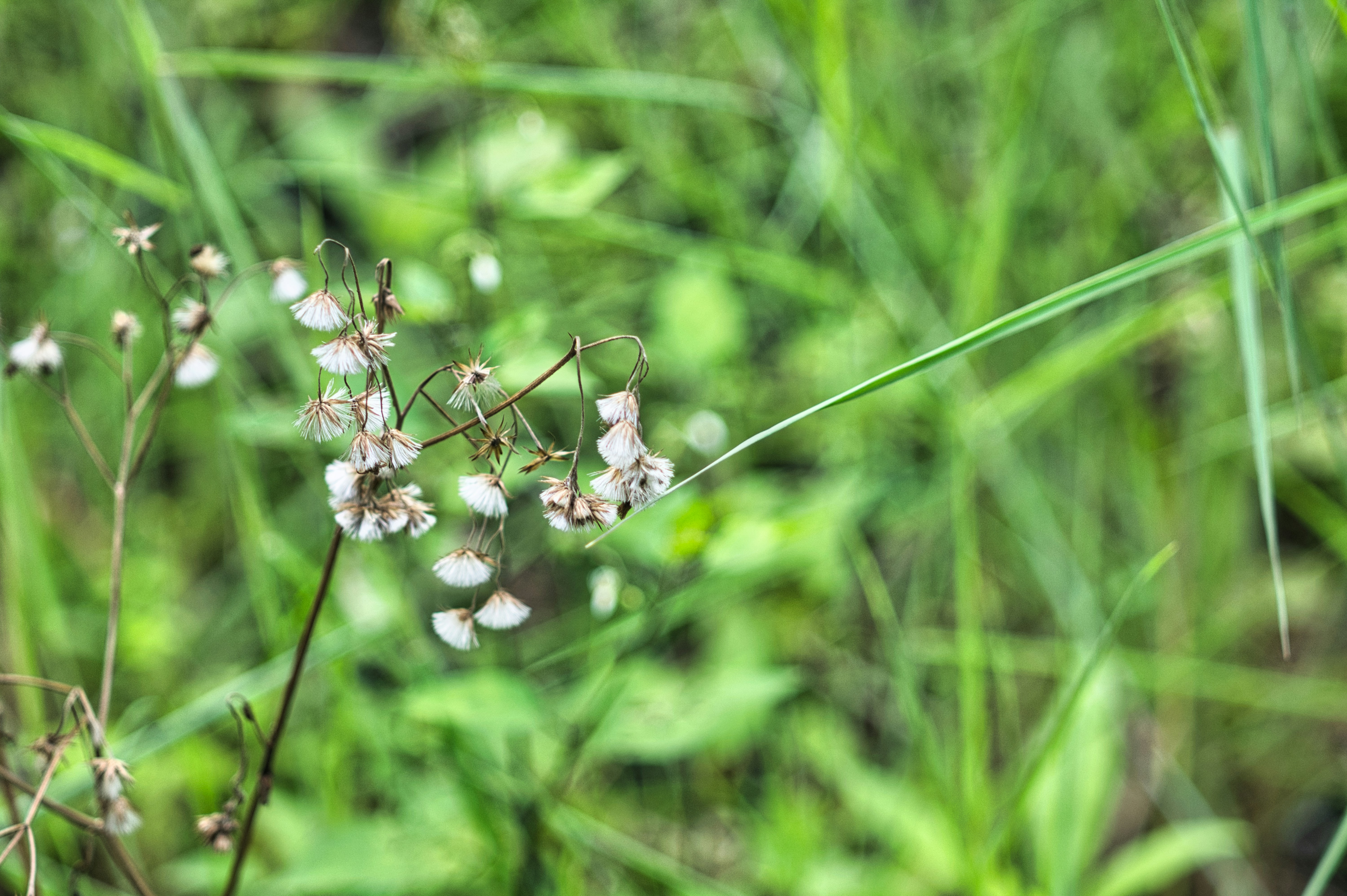 Photo by thomaskinto