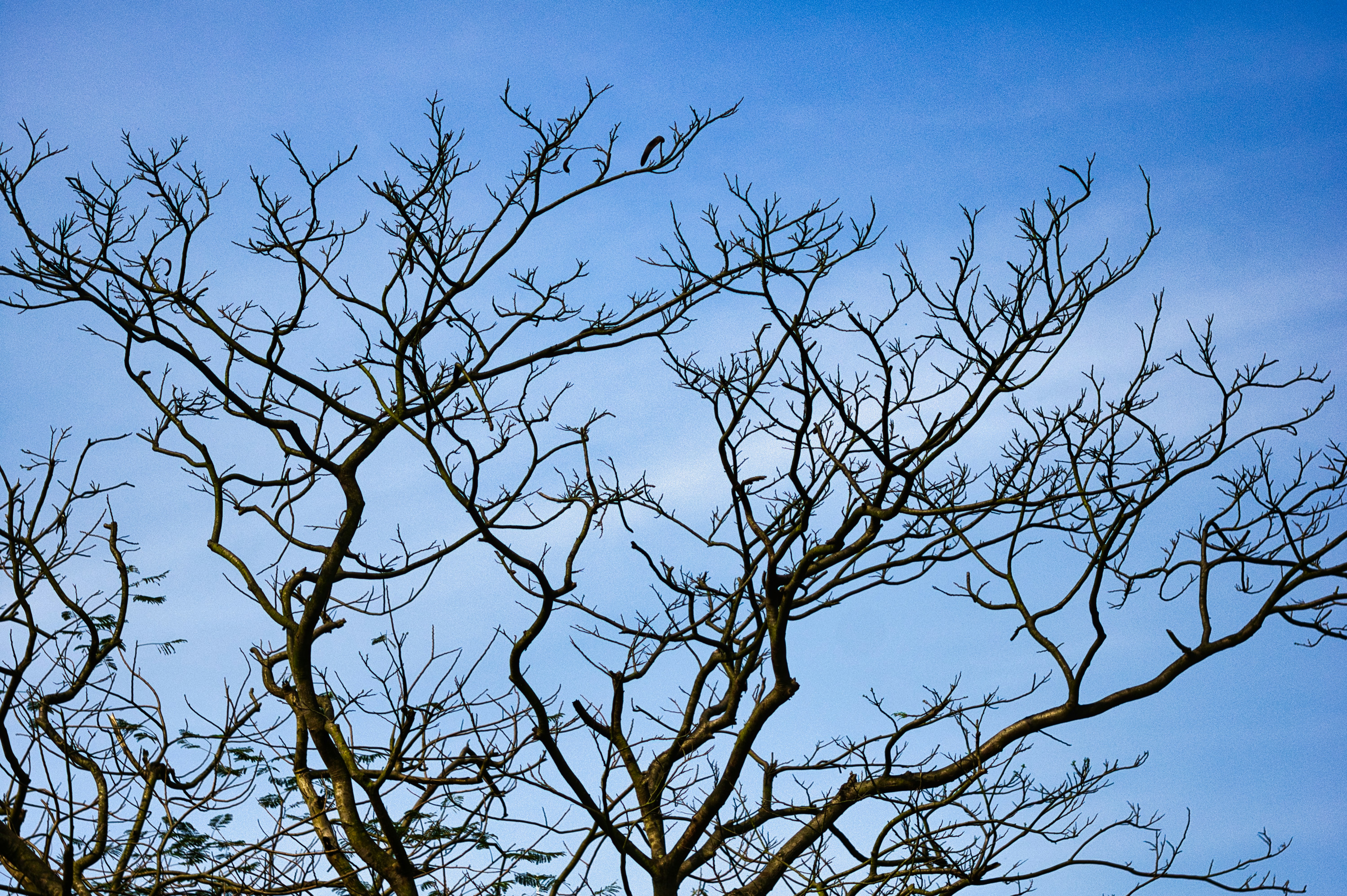 Photo by thomaskinto