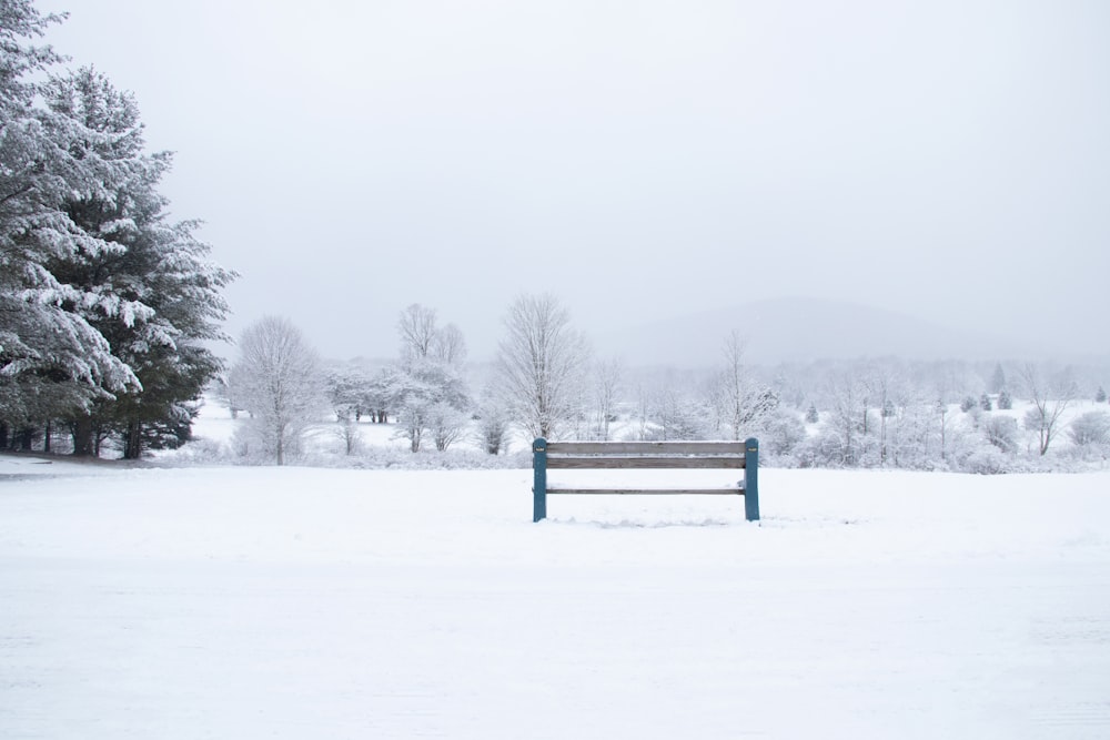 green wooden bench on snow covered ground