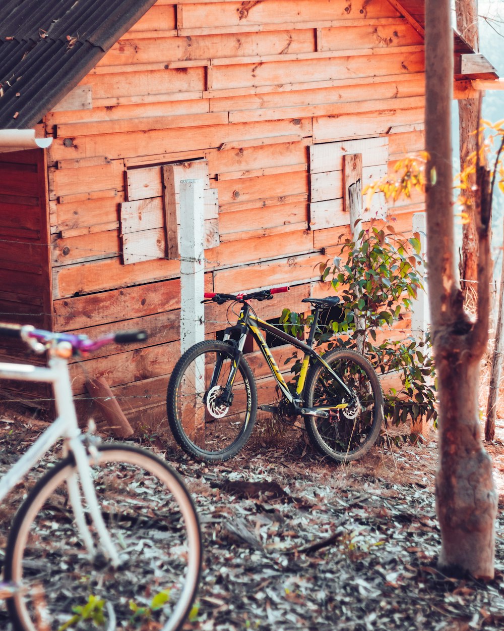 bici per pendolari nera e blu vicino al muro di legno marrone