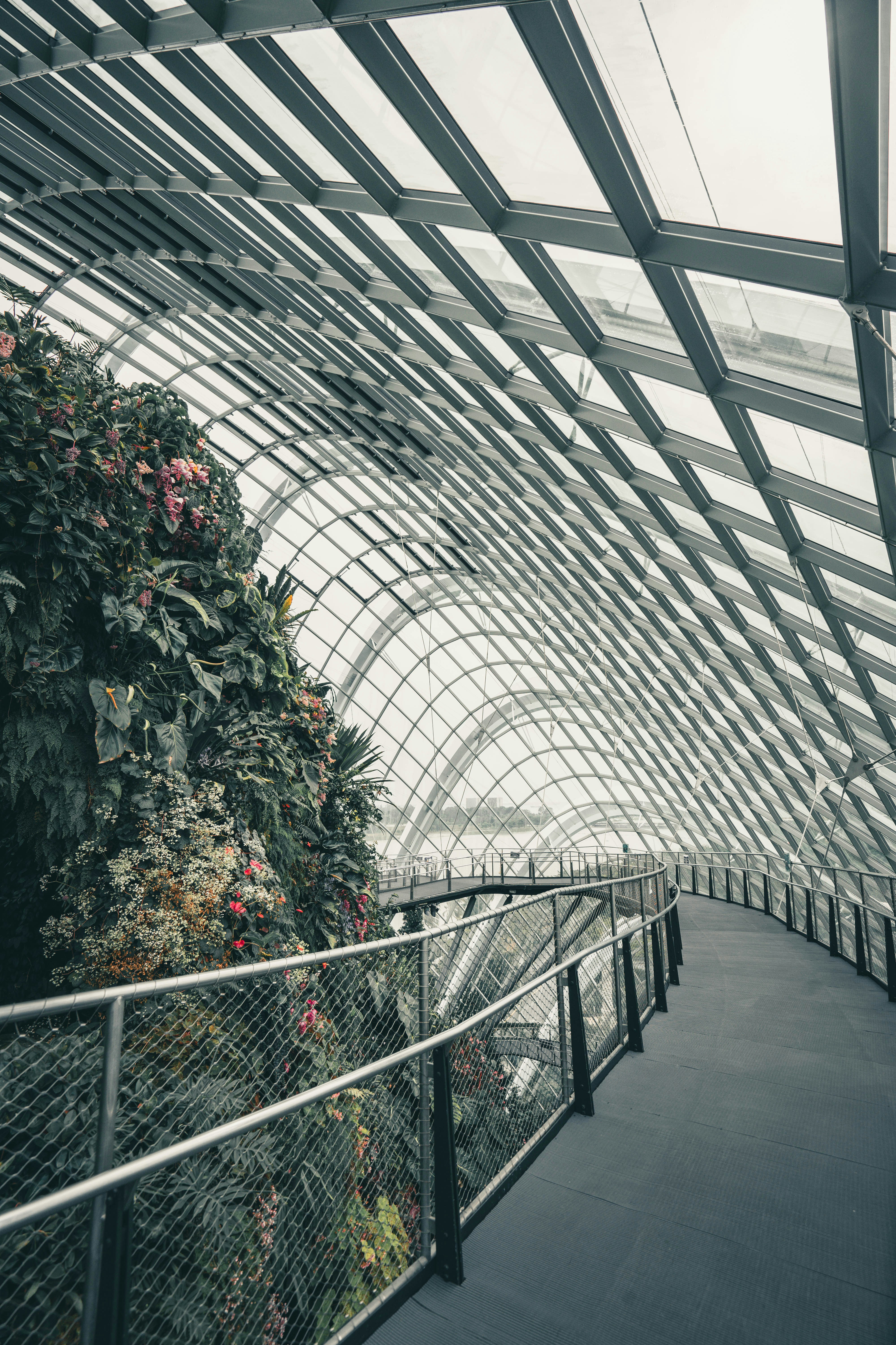 Photo by albertvincentwu