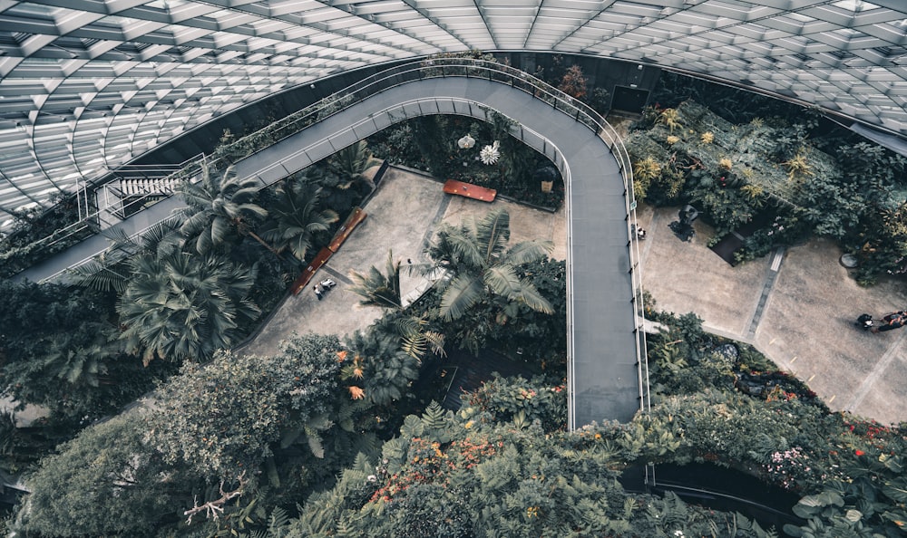 緑の木々や植物の空中写真