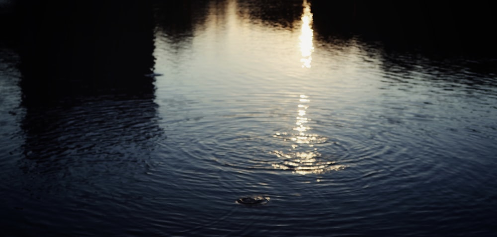 body of water during daytime