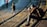 A photographer sits on stone steps near a body of water, focusing his camera on a pigeon walking nearby. Two children stand on the walkway, one looking towards the water and the other with hands in pockets. The scene is warmly lit by the sun, casting long shadows.