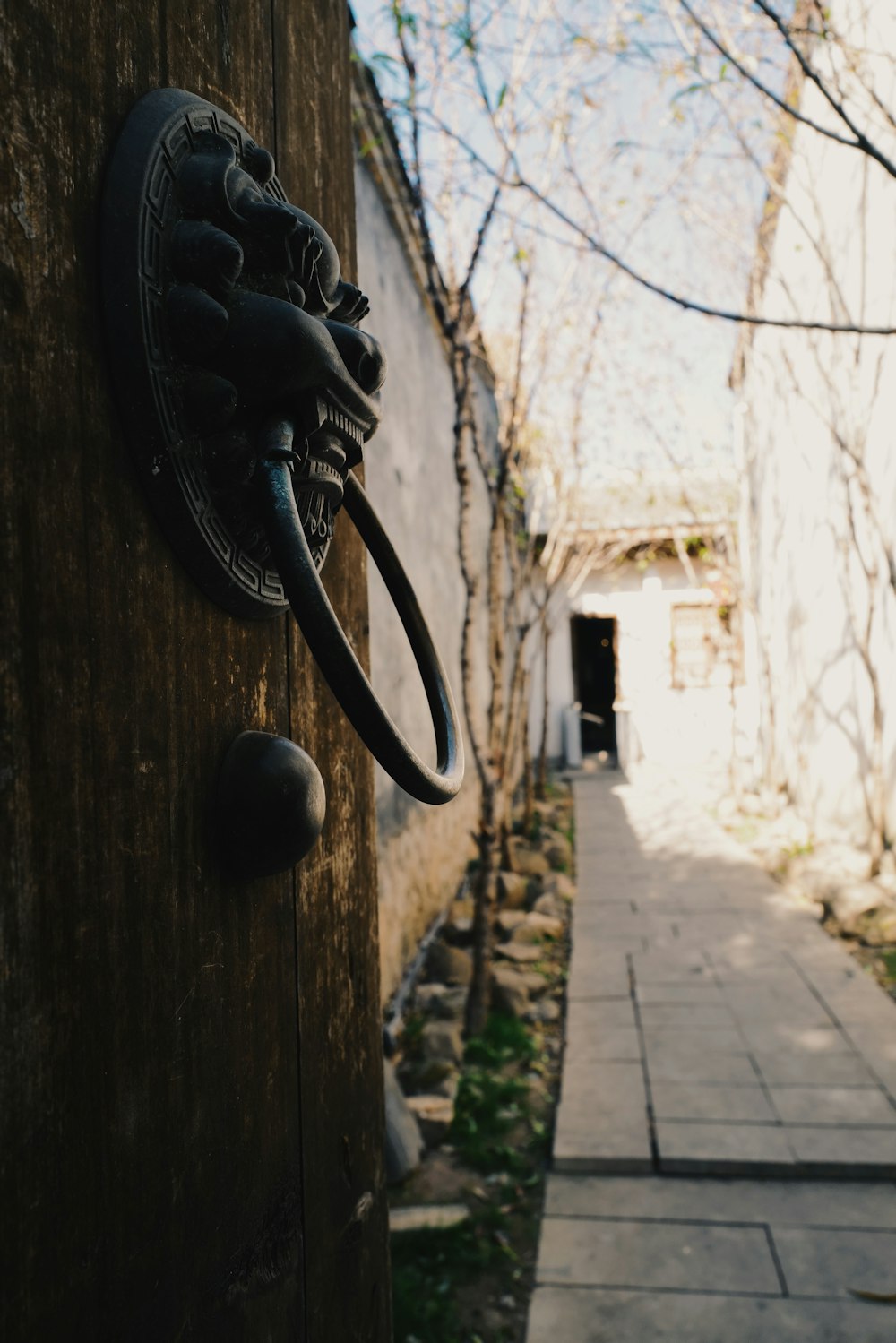 black metal horse statue on brown wooden wall