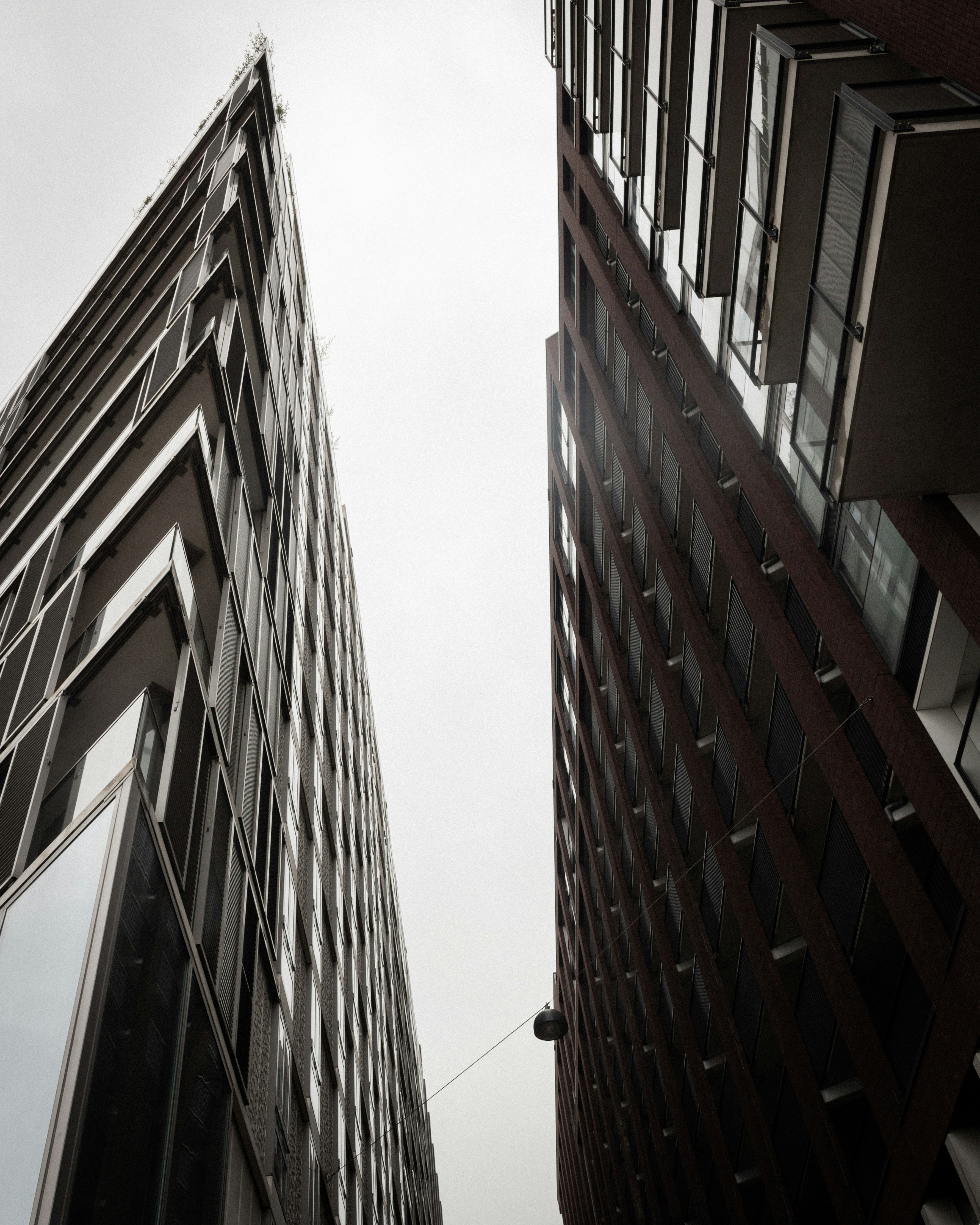 Photo by philforster_