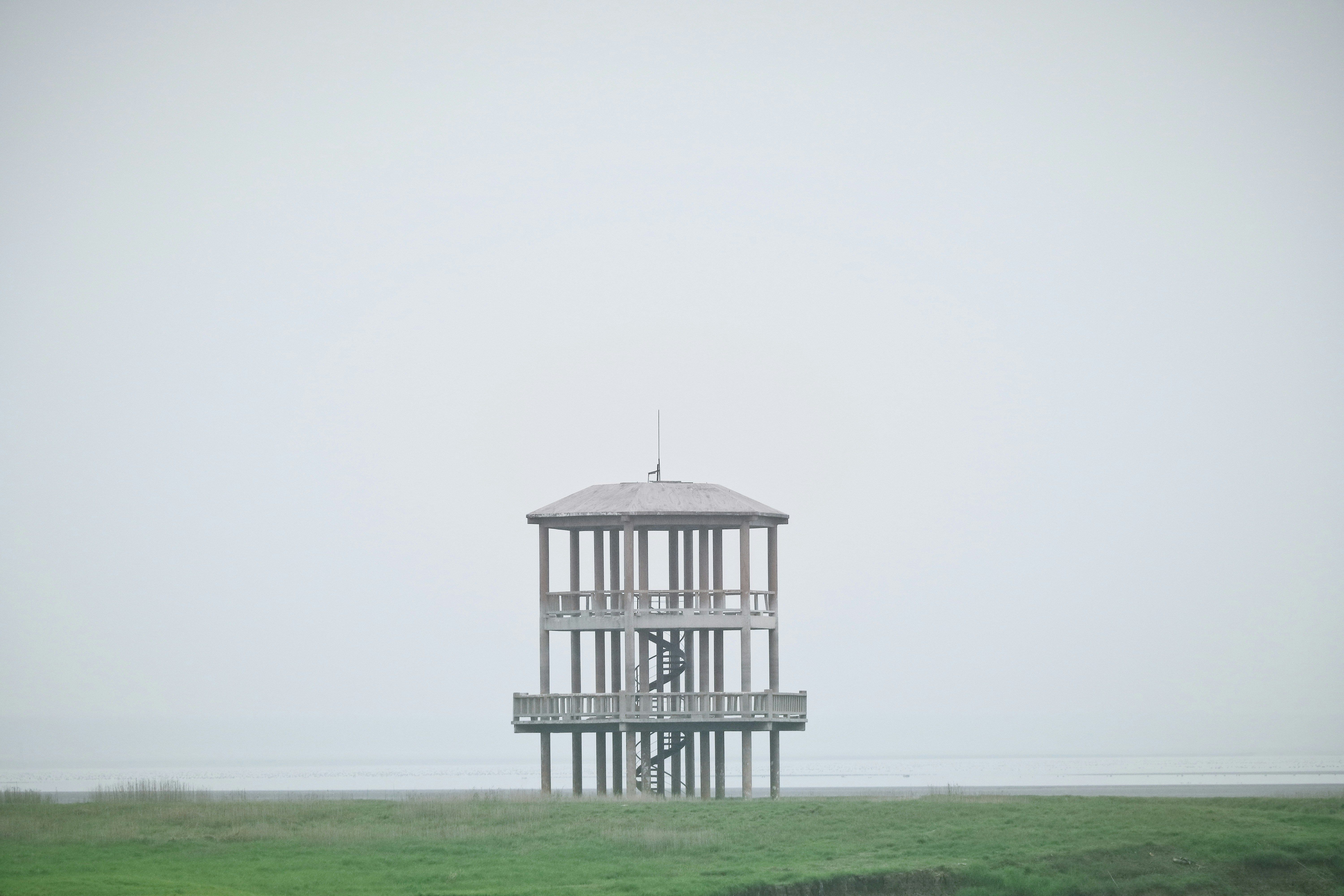 Choose from a curated selection of grass backgrounds. Always free on Unsplash.