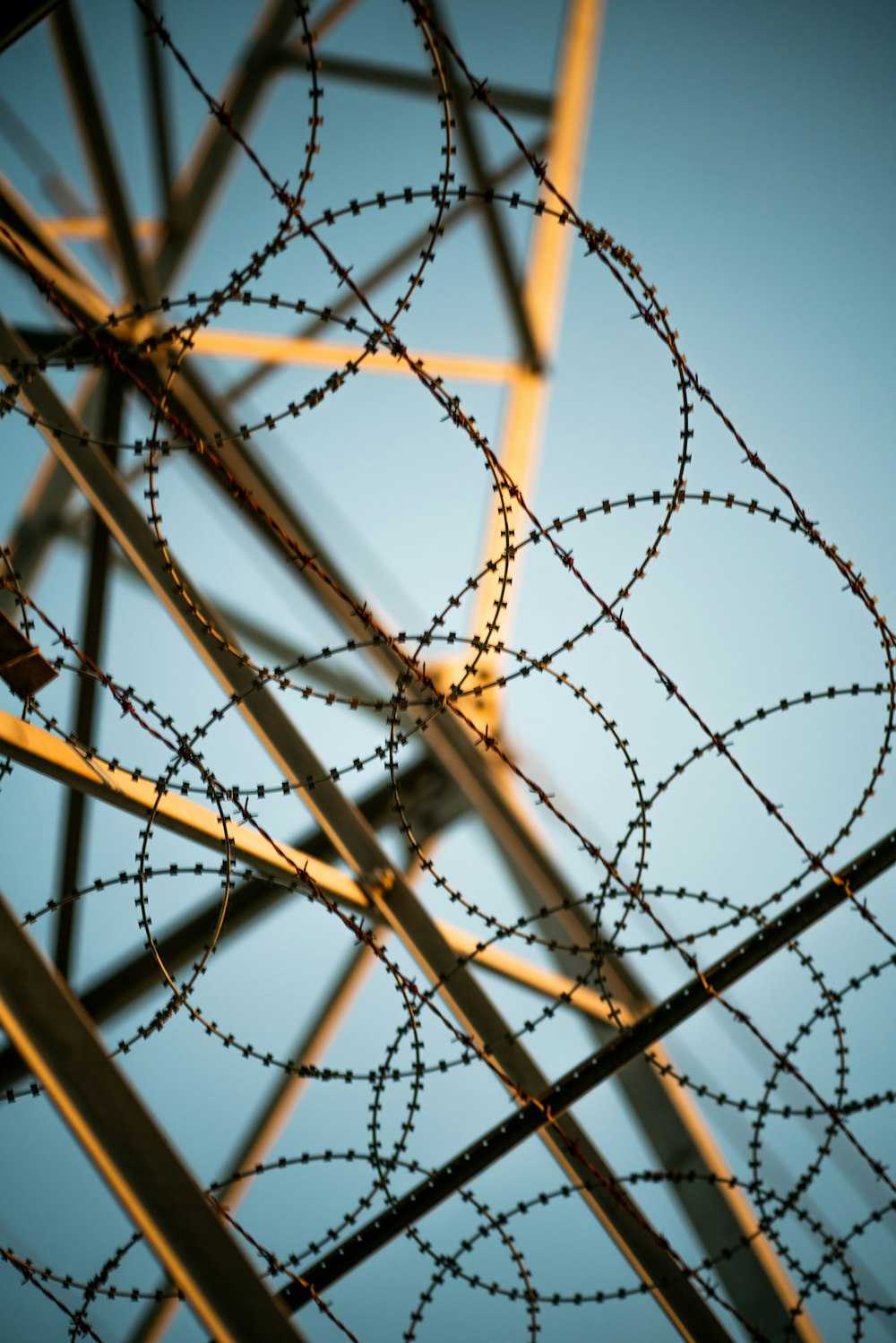 brown metal wire fence during daytime