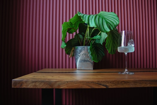 restaurantes más populares en Aguascalientes