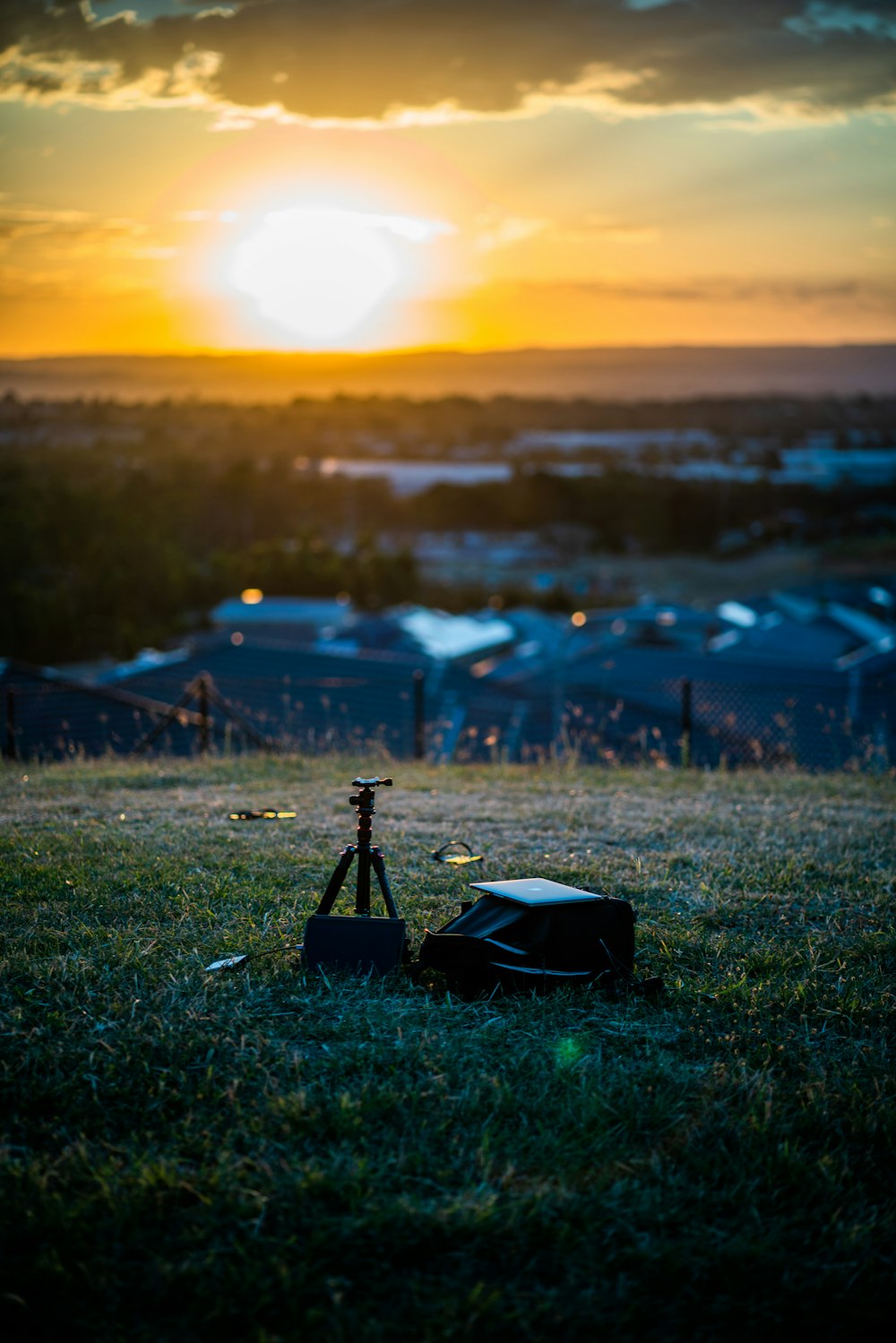 person standing on green grass during sunset