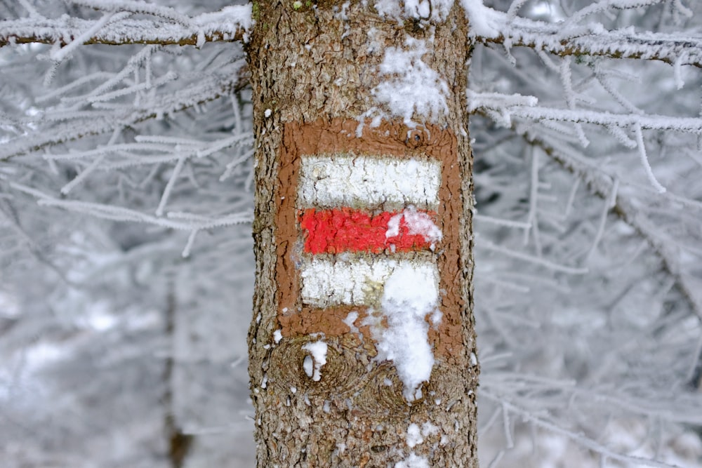 brown tree trunk with red and white arrow sign
