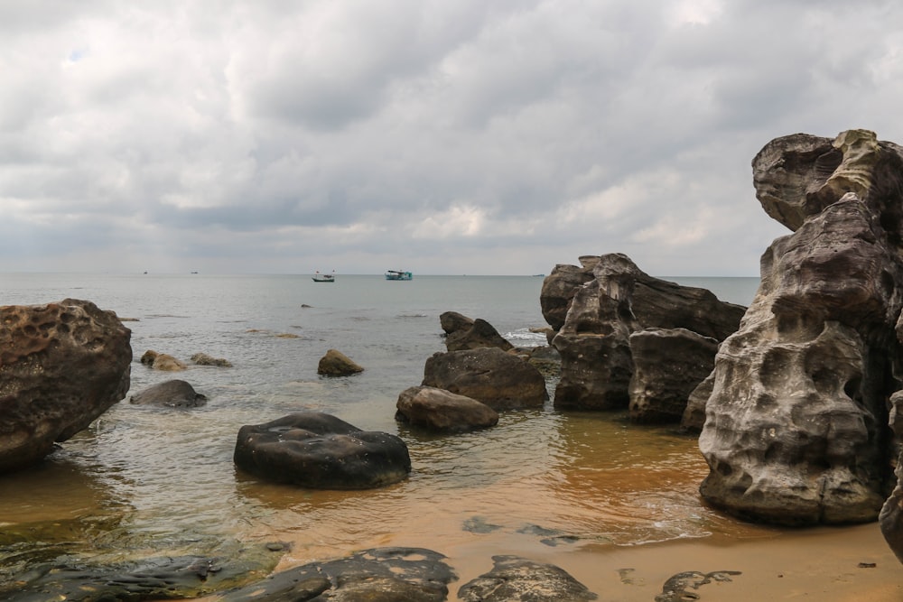 people on beach during daytime