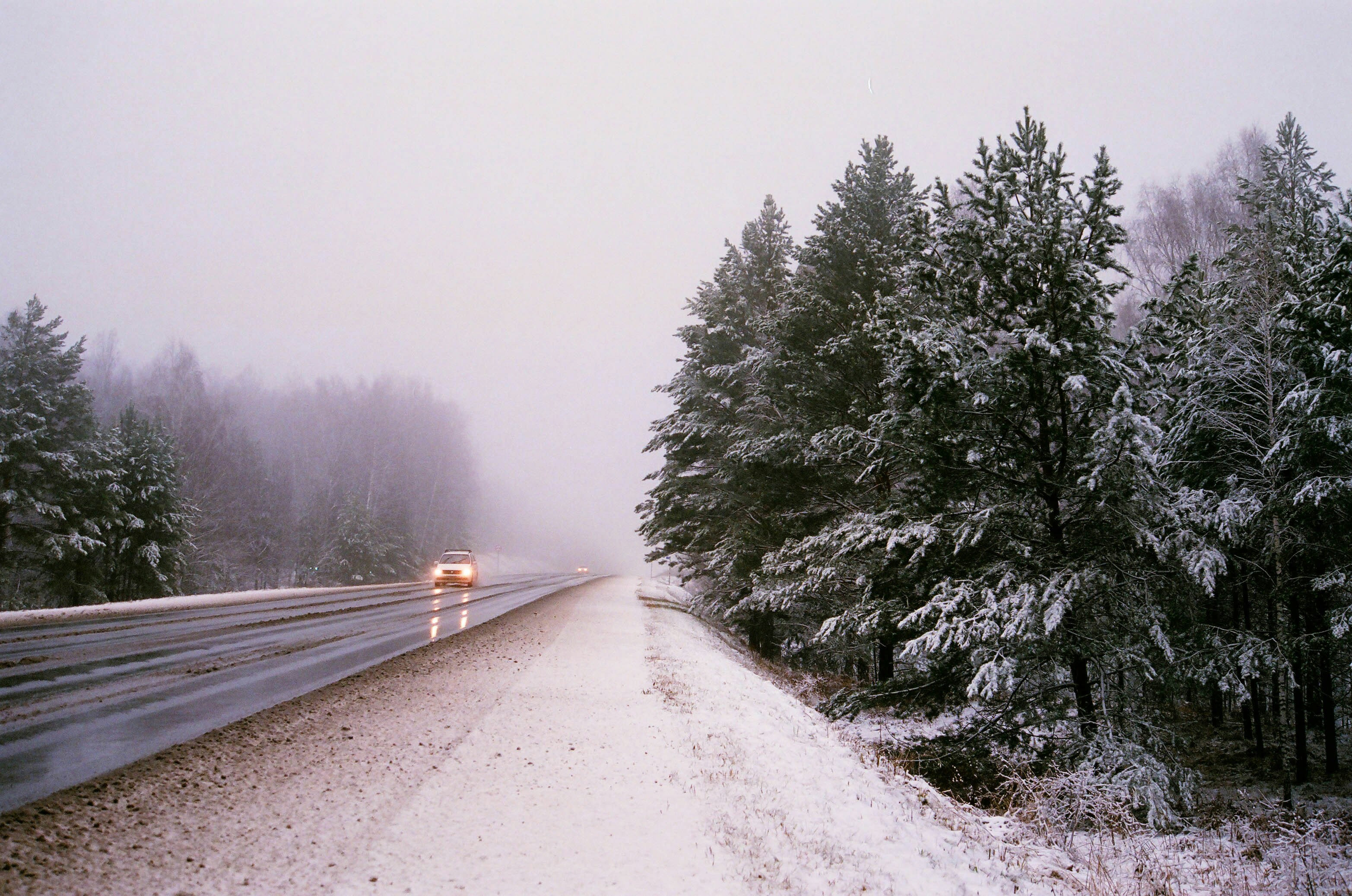 snow covered road between trees, 