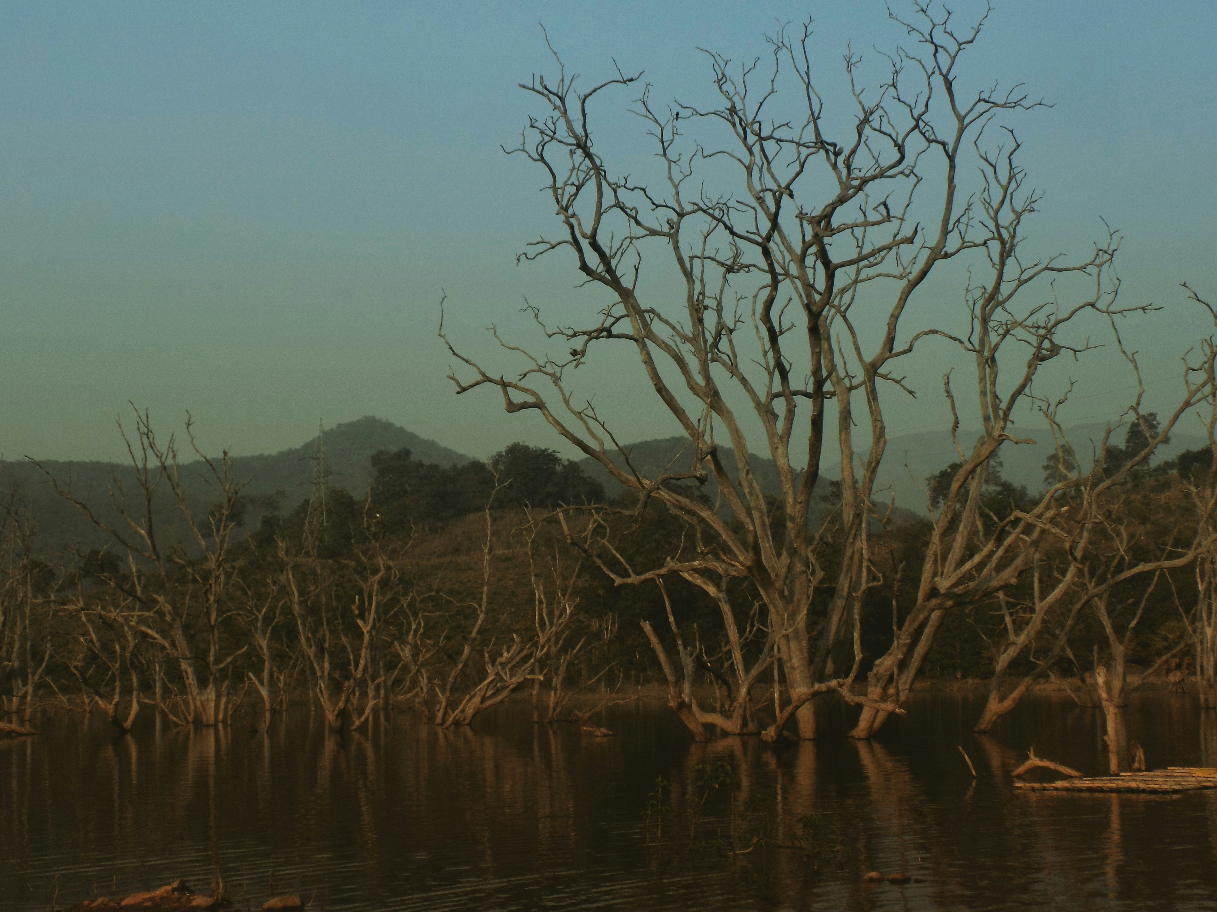 Photo by indianhobbyphotographer