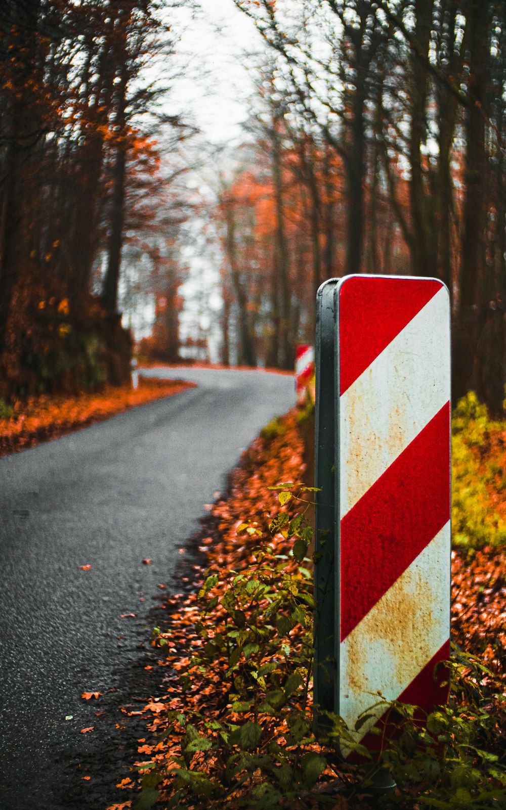 red and white road sign