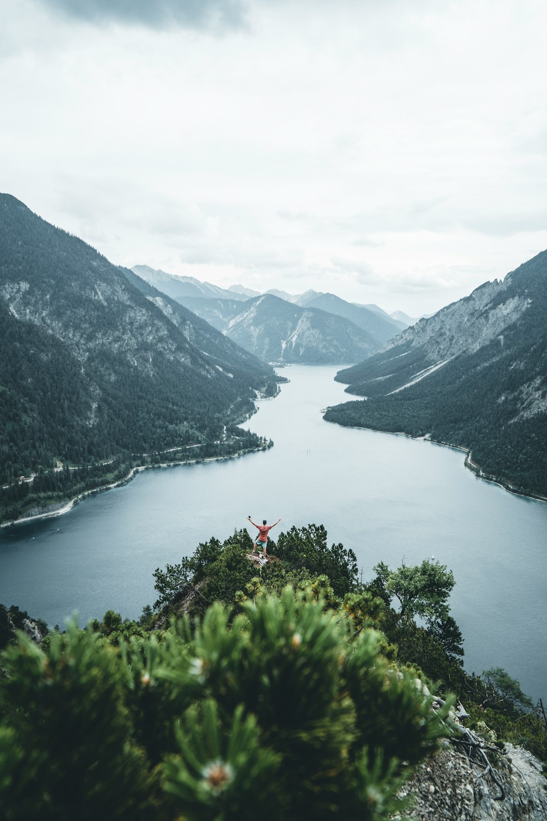 green trees on mountain near lake during daytime