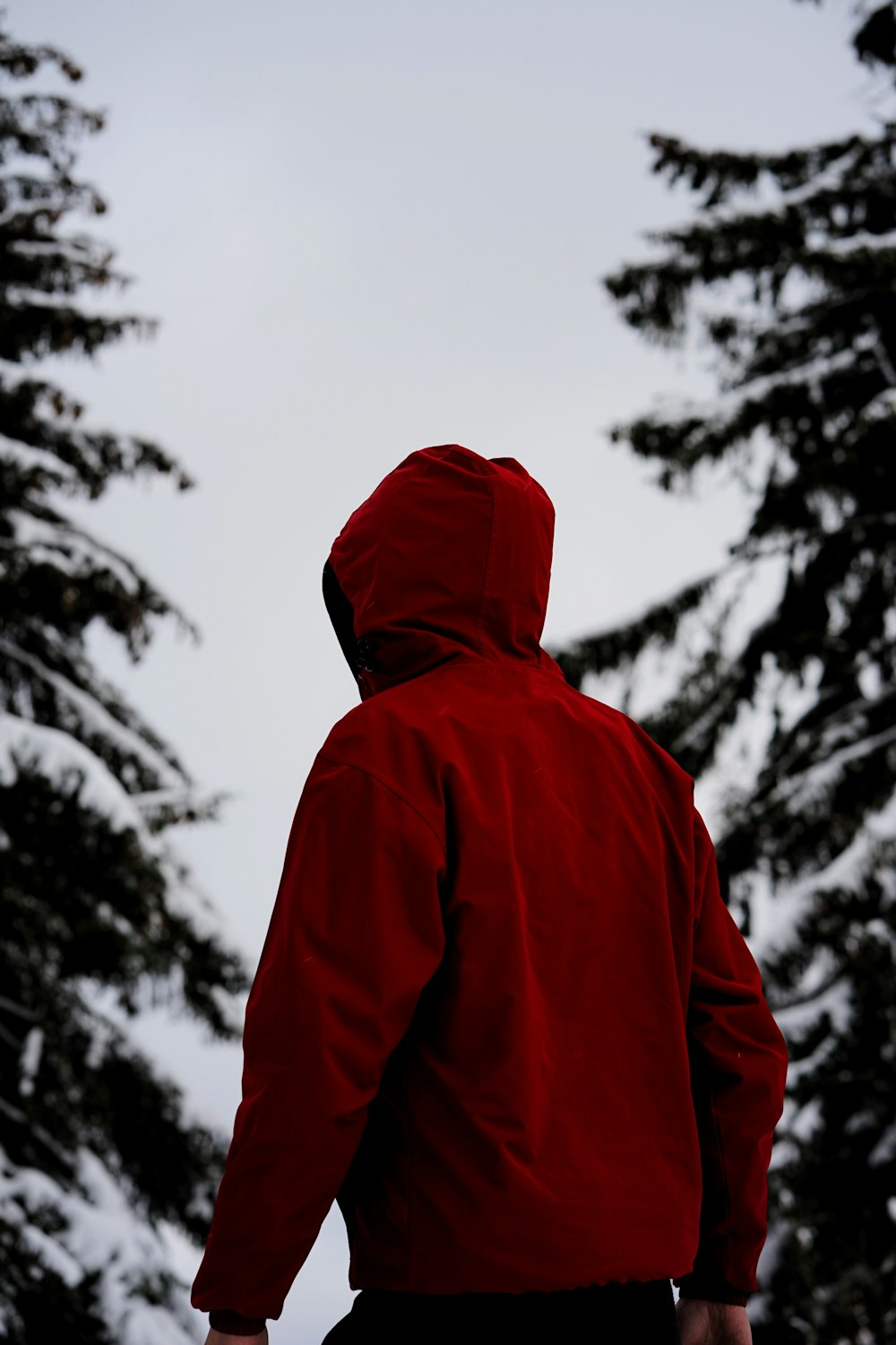 persona in felpa con cappuccio rossa in piedi su terreno coperto di neve