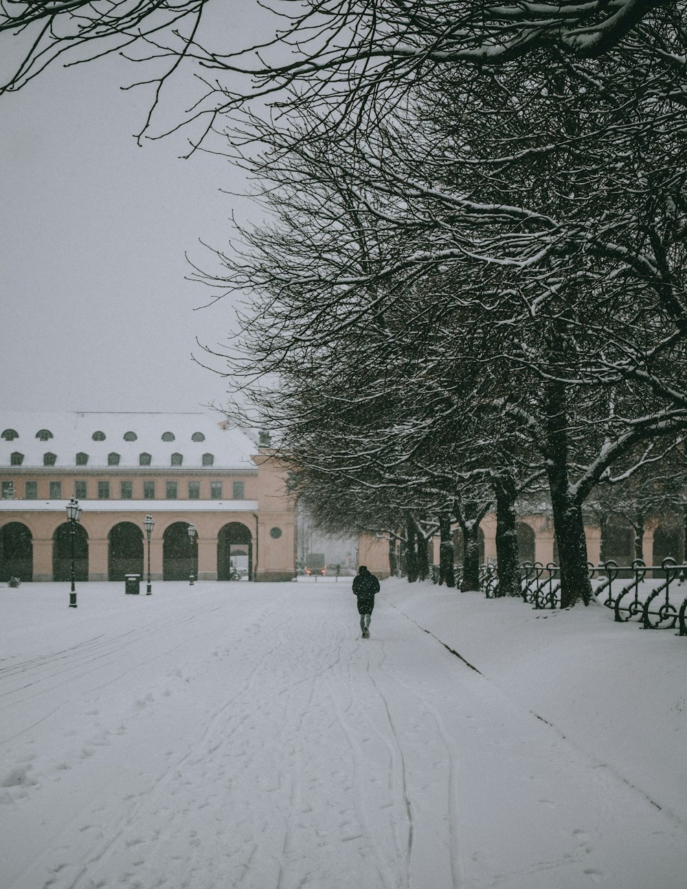 people walking on snow covered road near bare trees during daytime