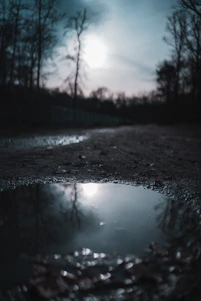 water droplets on wet road during daytime
