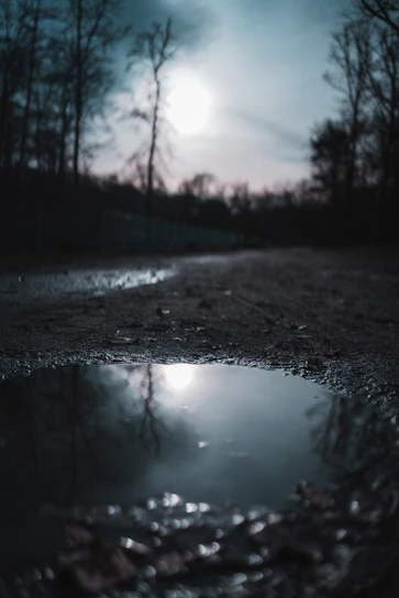 water droplets on wet road during daytime