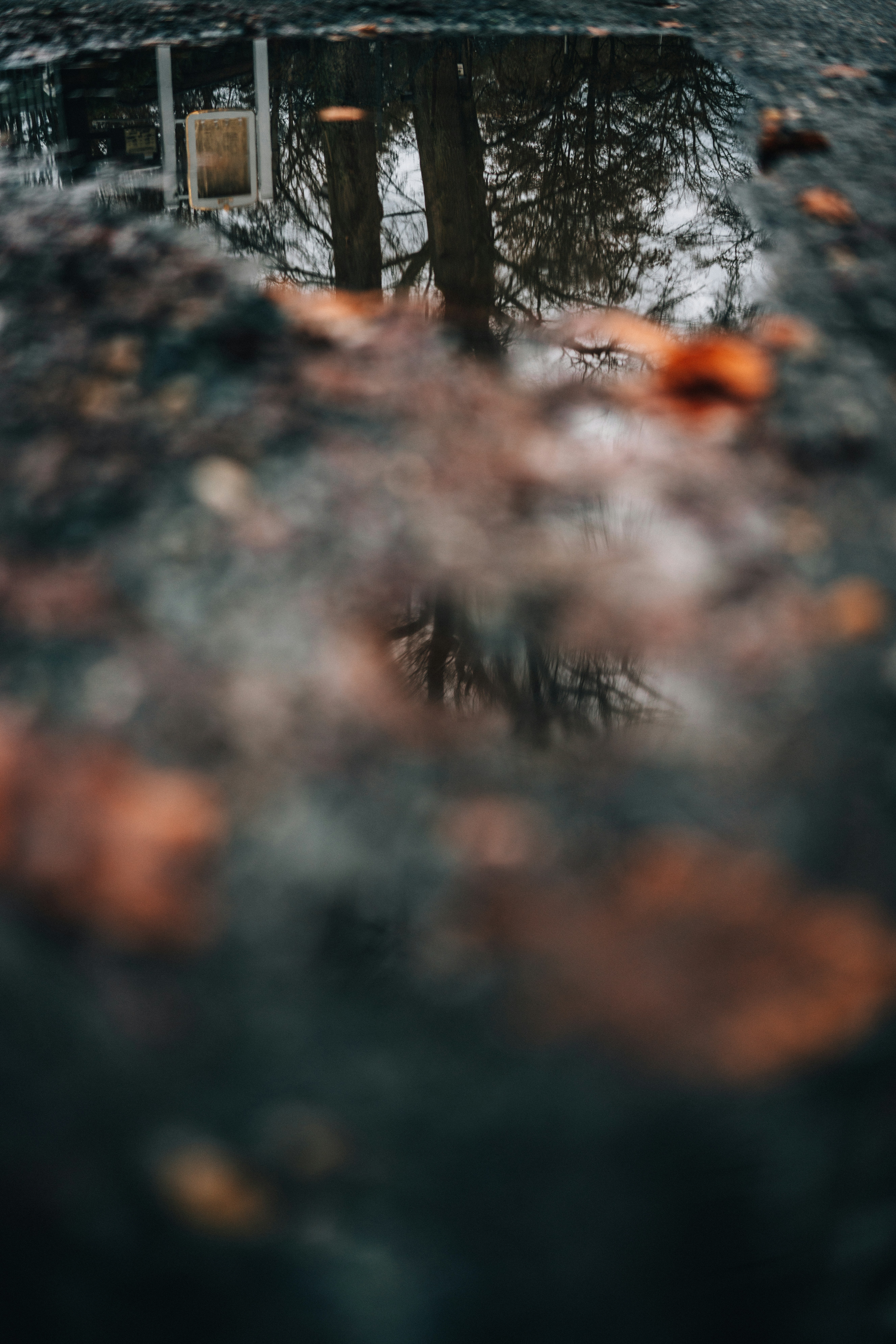 Photo by mirkosphoto