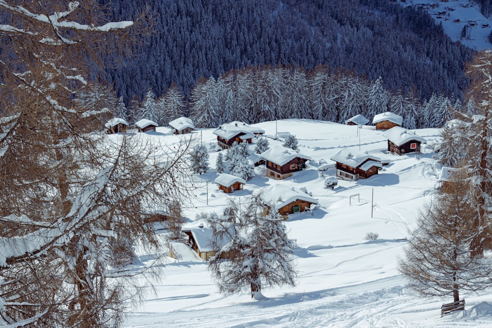 Braunes Holzhaus tagsüber auf schneebedecktem Boden