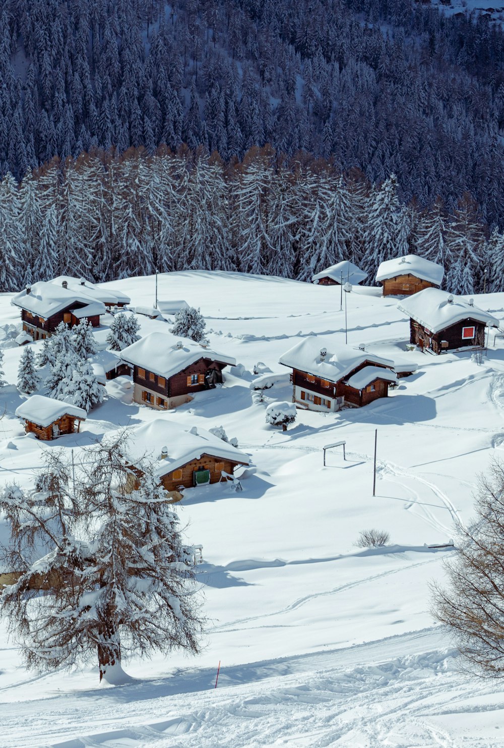 casa de madeira marrom no chão coberto de neve durante o dia