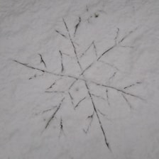 A colorful, minimalist graphic showing a snowflake melting over a clean, cleared walkway.