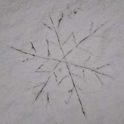 A colorful, minimalist graphic showing a snowflake melting over a clean, cleared walkway.