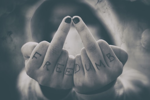 Hands with middle fingers extended, displaying the word 'FREEDUMB' written across the fingers. The nails are painted black, and the background is blurred, focusing attention on the hands.