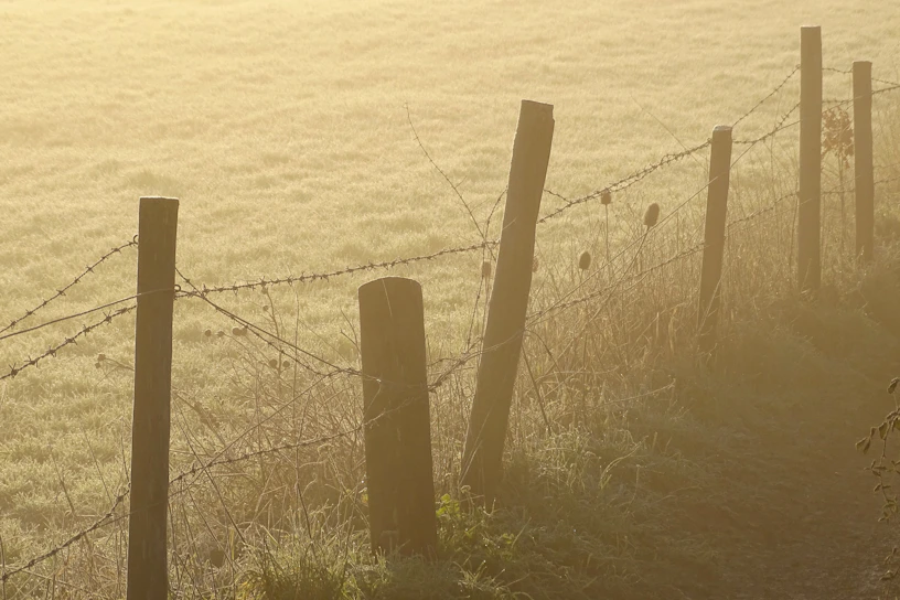 A rustic wooden fence with morning dew in a green countryside field.