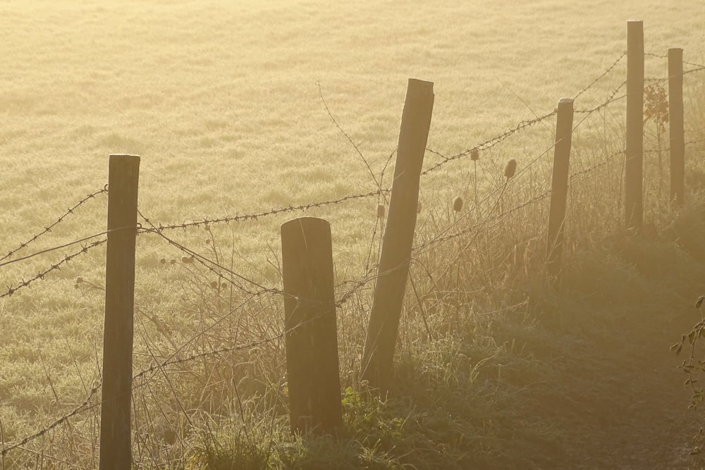 brown wooden fence on green grass field during daytime