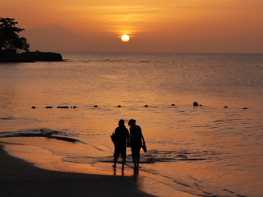 silhouette of 2 people standing on beach during sunset