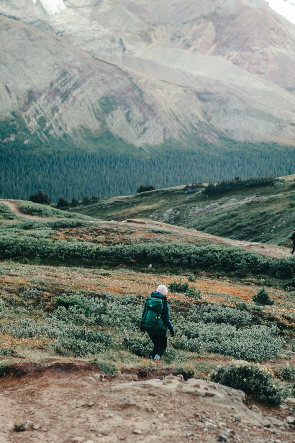 person in black jacket walking on green grass field during daytime