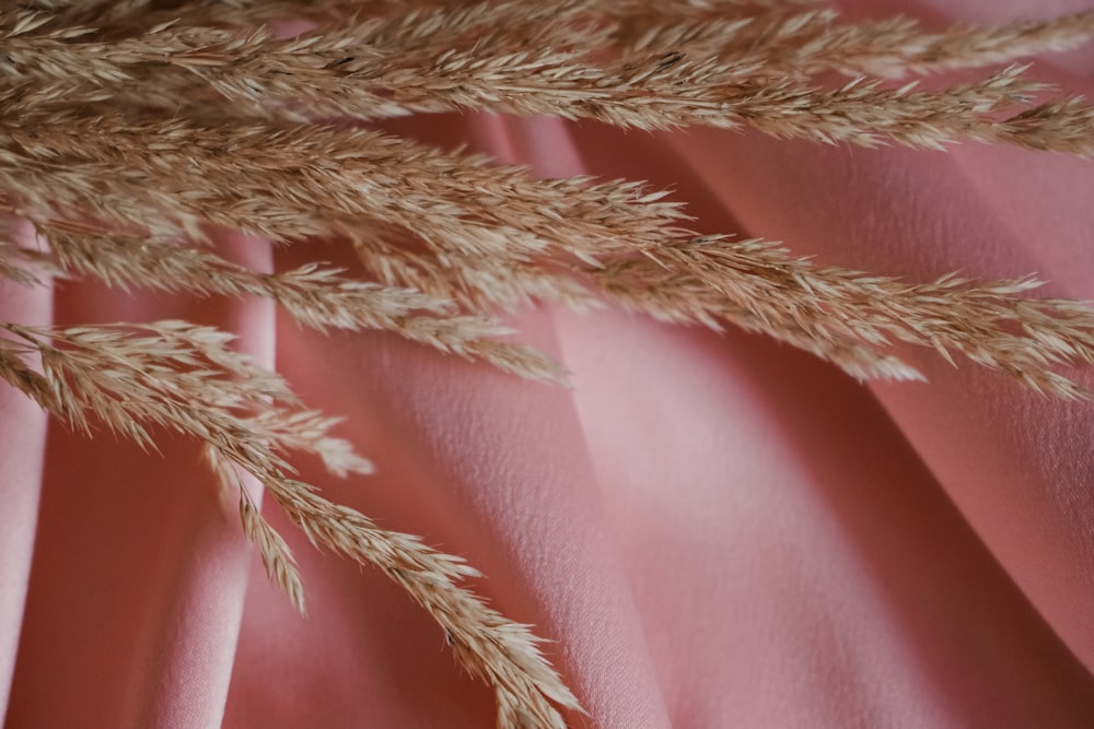 white and brown fur textile