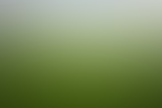 Soft sage green and beige gradient background with a subtle herbal school badge emblem.