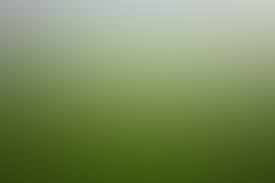 Soft sage green and beige gradient background with a subtle herbal school badge emblem.