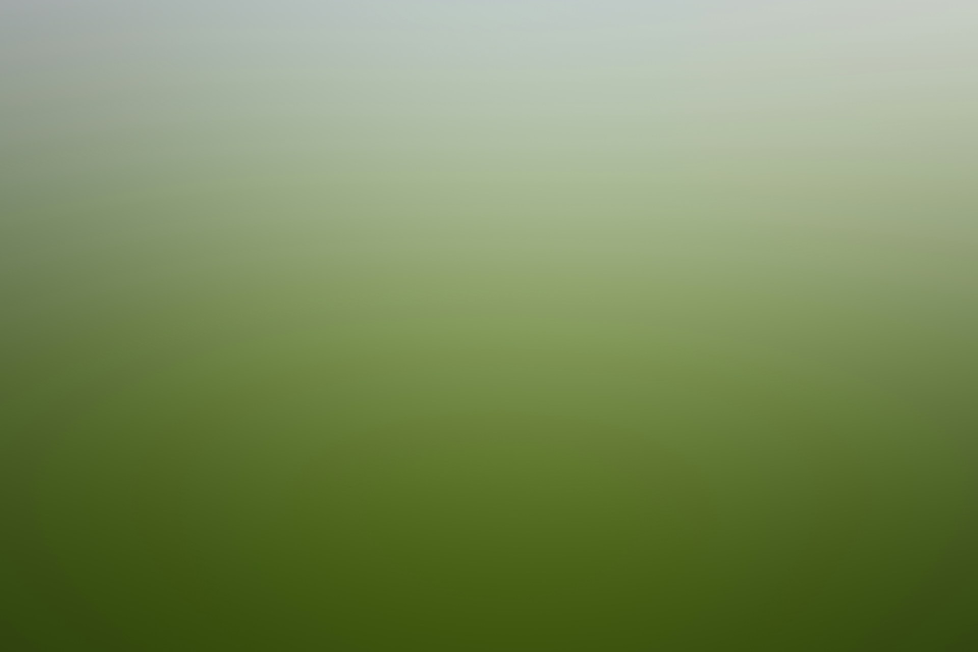 green and white painted wall