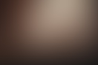 No image provided as per instructions.