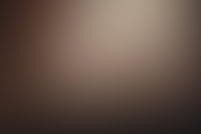 No image provided as per instructions.