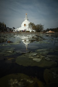 white concrete building near body of water during daytime